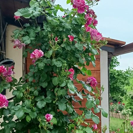 Apartament Colle Perazzoni Fiano Romano Zewnętrze zdjęcie