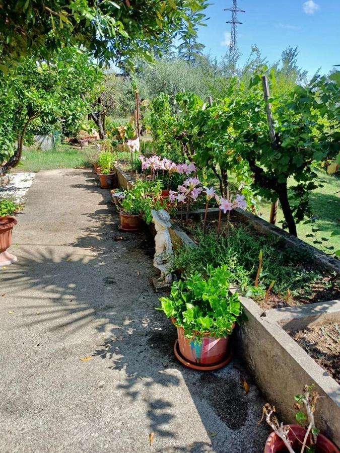 Apartament Colle Perazzoni Fiano Romano Zewnętrze zdjęcie