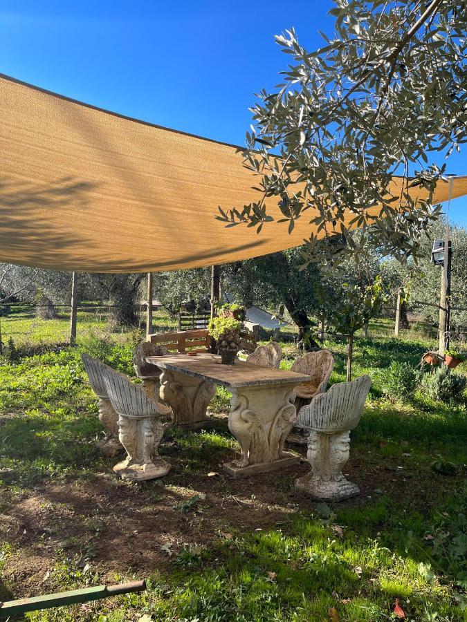 Apartament Colle Perazzoni Fiano Romano Zewnętrze zdjęcie