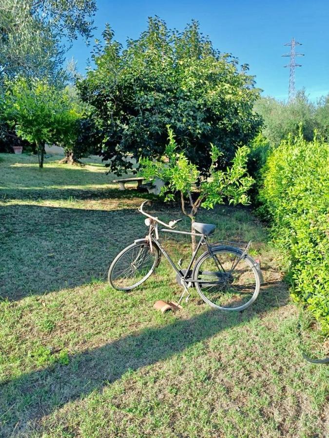 Apartament Colle Perazzoni Fiano Romano Zewnętrze zdjęcie