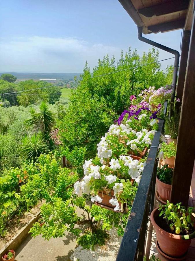 Apartament Colle Perazzoni Fiano Romano Zewnętrze zdjęcie
