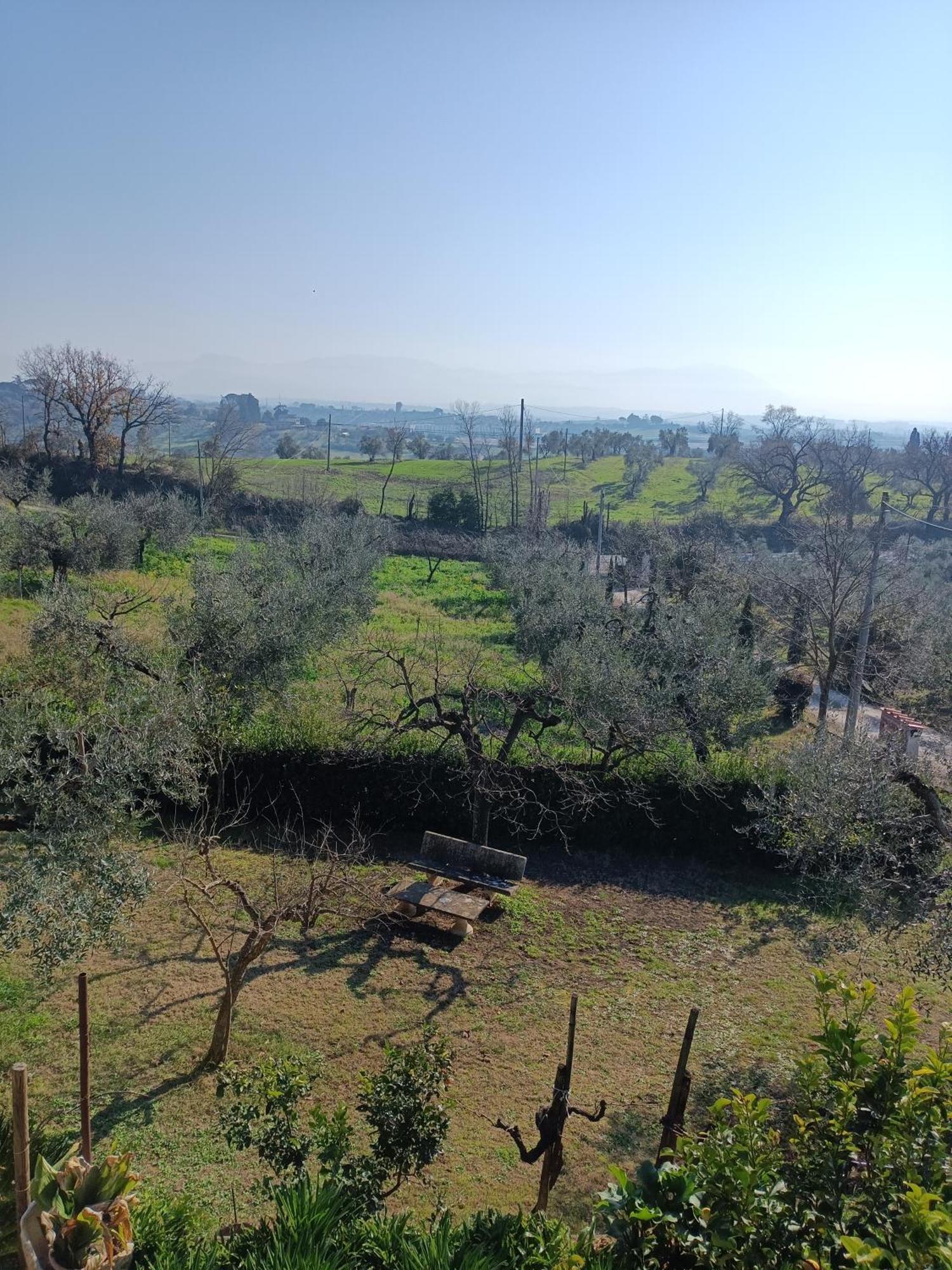 Apartament Colle Perazzoni Fiano Romano Zewnętrze zdjęcie