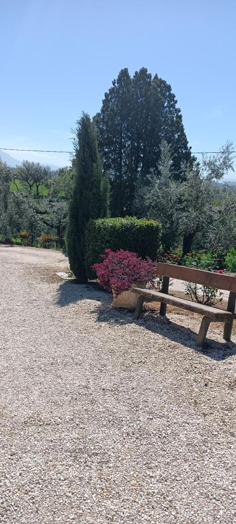 Apartament Colle Perazzoni Fiano Romano Zewnętrze zdjęcie