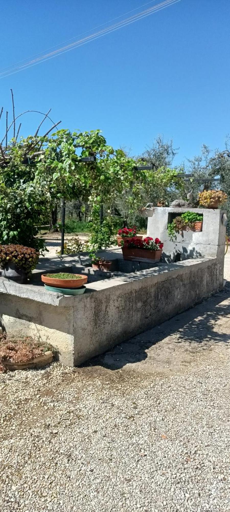 Apartament Colle Perazzoni Fiano Romano Zewnętrze zdjęcie