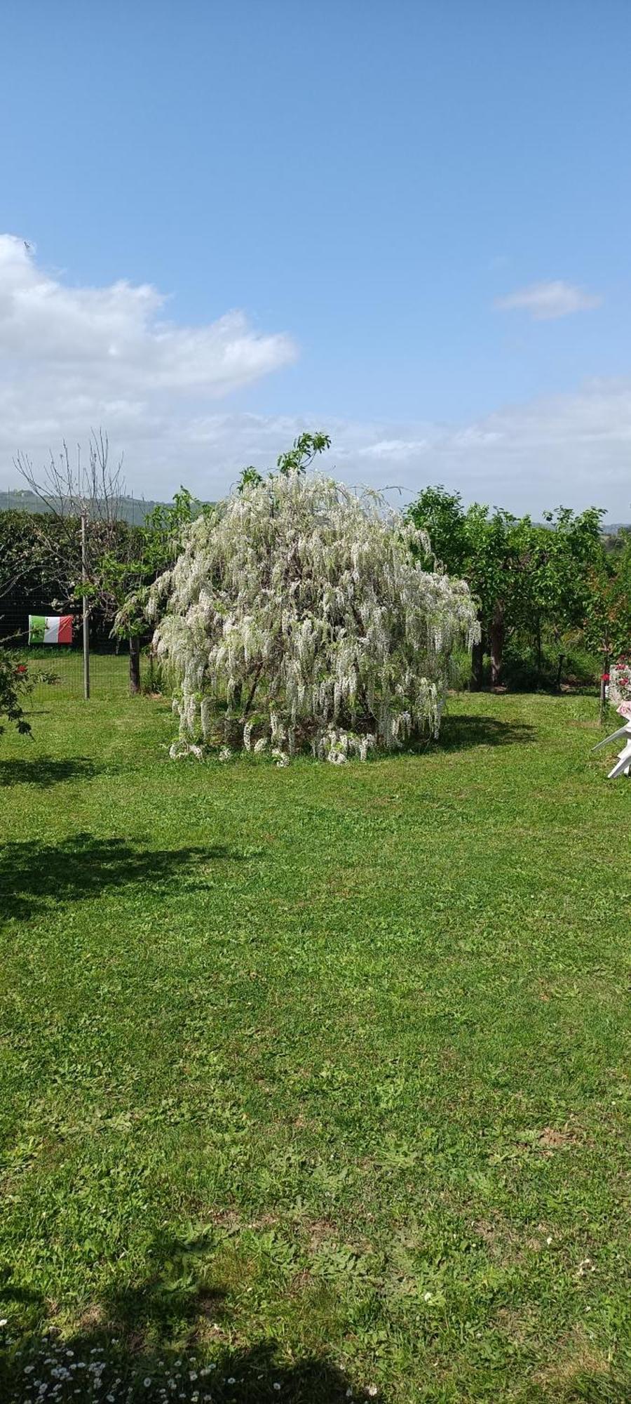 Apartament Colle Perazzoni Fiano Romano Zewnętrze zdjęcie