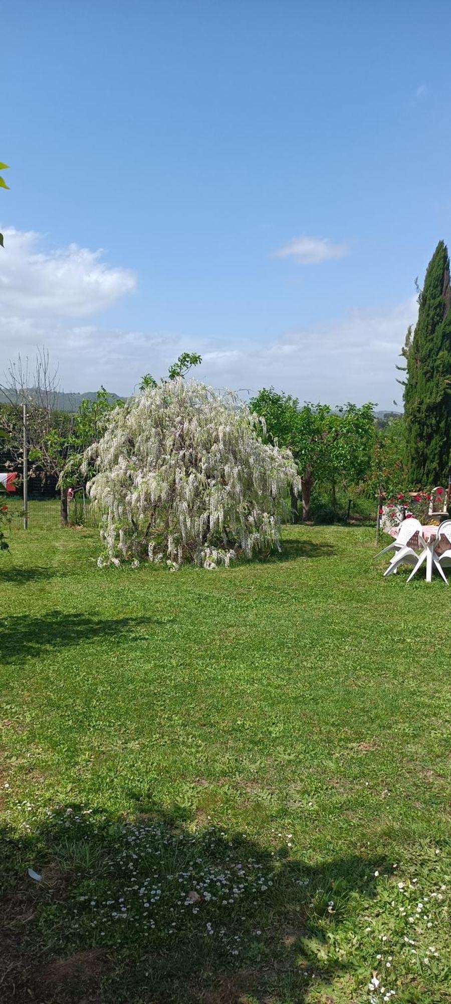 Apartament Colle Perazzoni Fiano Romano Zewnętrze zdjęcie