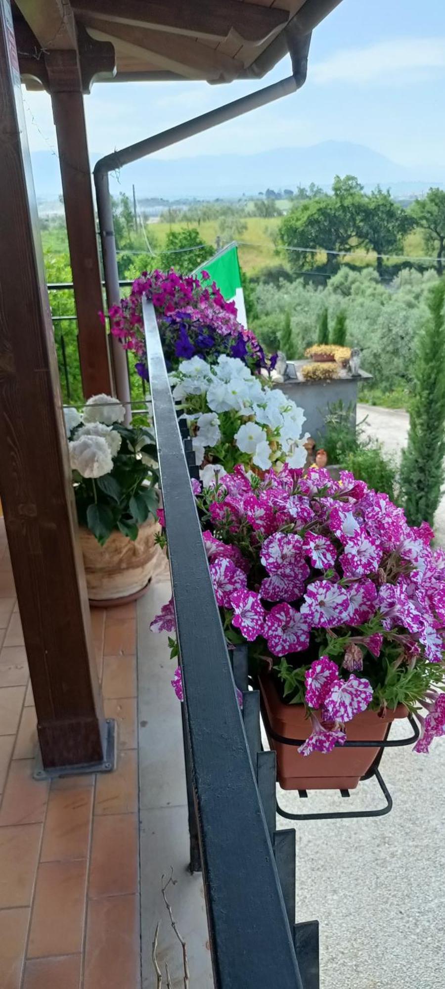 Apartament Colle Perazzoni Fiano Romano Zewnętrze zdjęcie