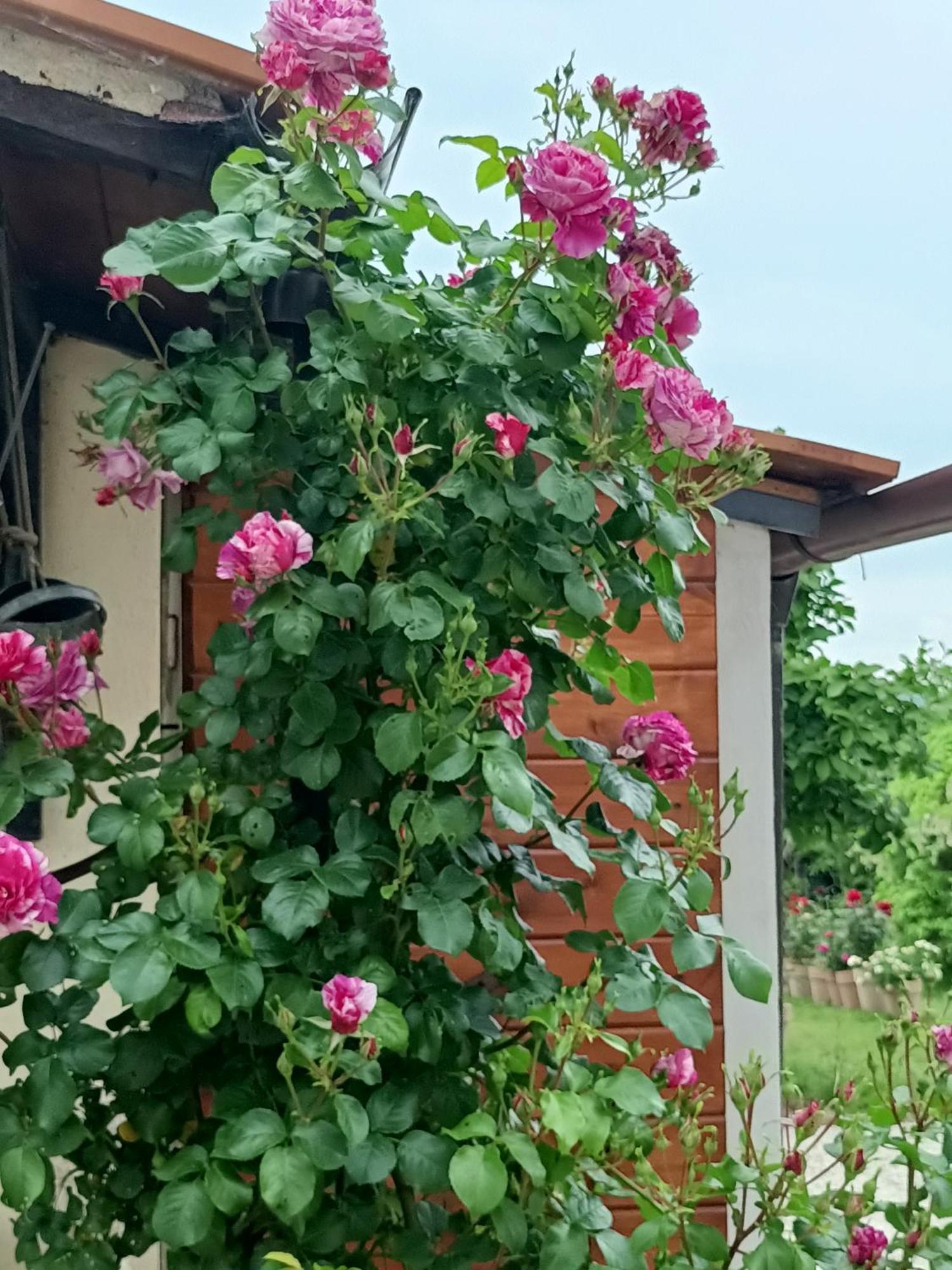 Apartament Colle Perazzoni Fiano Romano Zewnętrze zdjęcie